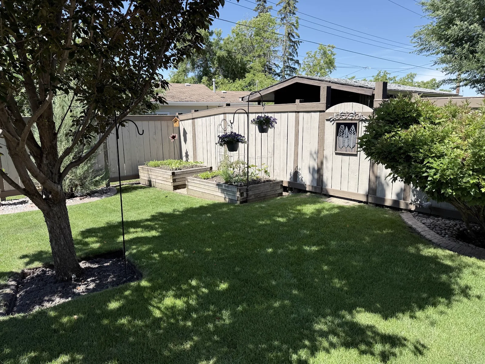 Backyard fence and raised garden beds freshly painted in a warm tan finish